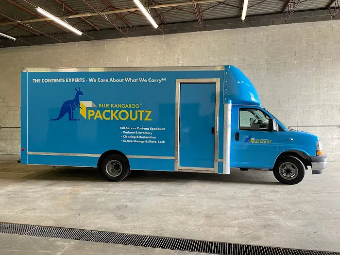 Blue Kangaroo Packoutz Picture 6