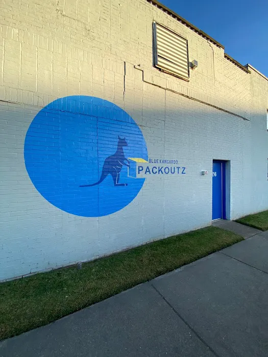 Blue Kangaroo Packoutz Picture 7