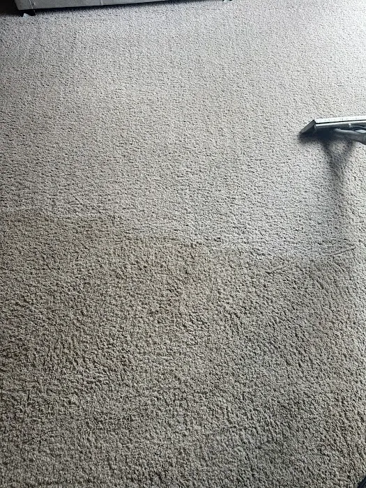 Stanley Steemer Picture 4