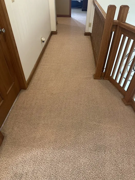 Stanley Steemer Picture 6