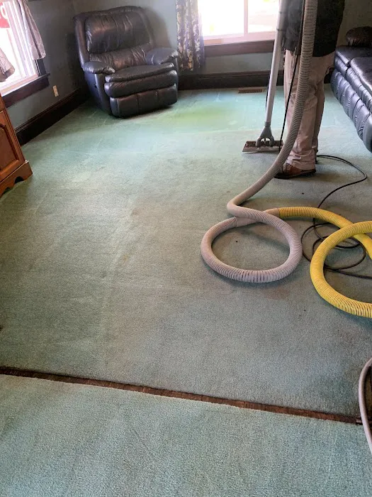 Stanley Steemer Picture 3