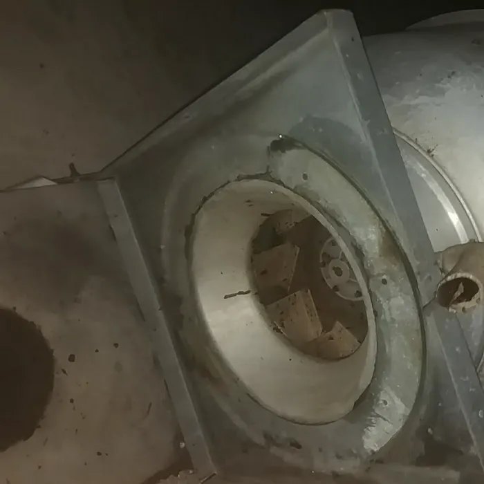 Mr. Xtreme Electric and Hood Cleaning Picture 4