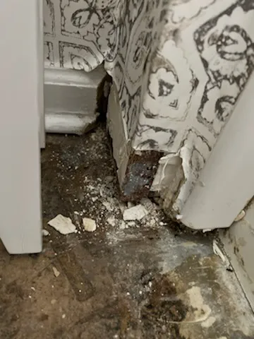 All American Public Adjusters Inc Picture 8