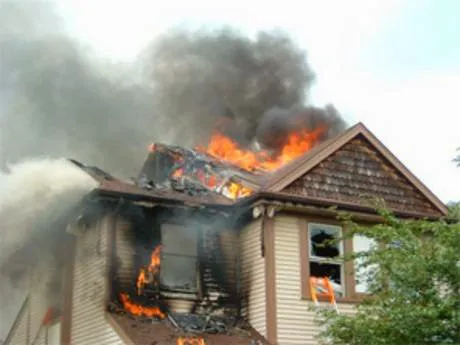 All American Public Adjusters Inc Picture 1