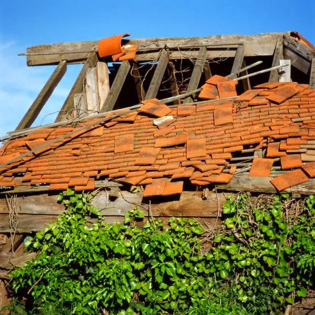 All American Public Adjusters Inc Picture 5