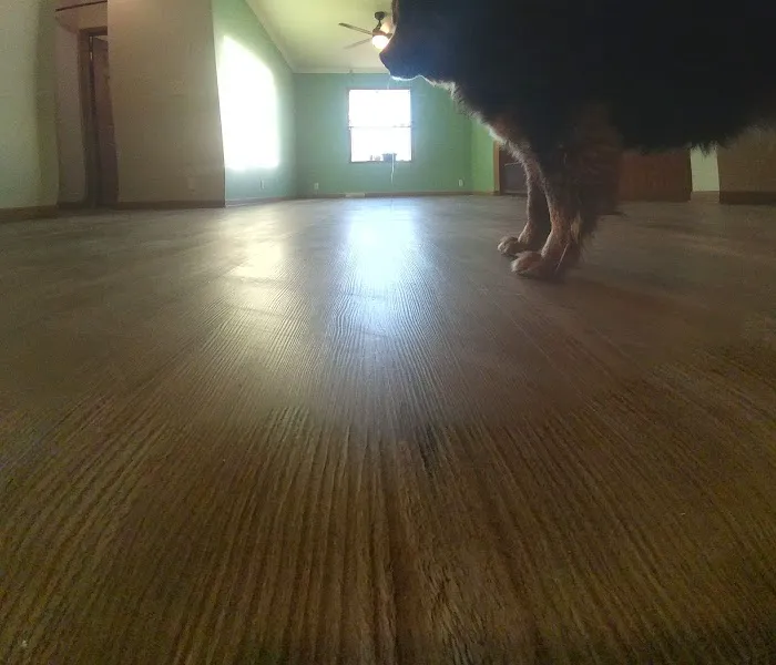 Carpet One Floor & Moore Picture 8