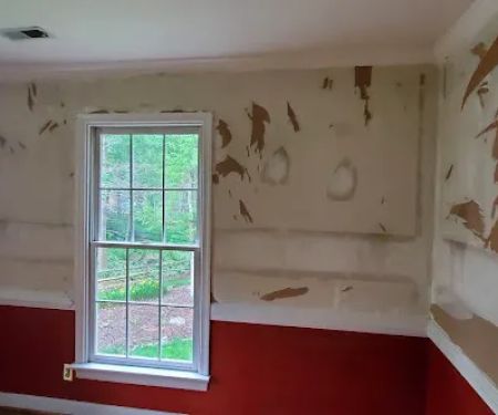 Wall Crafters of Central Virginia