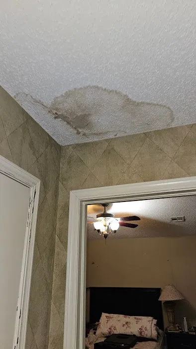 4D Restoration Picture 4