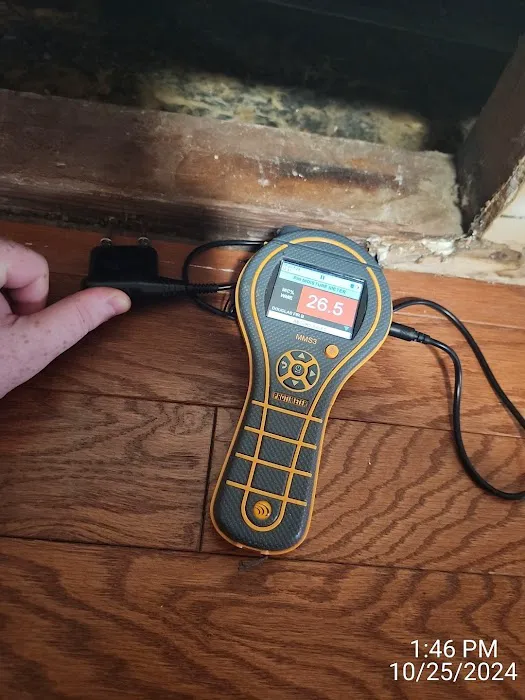 4D Restoration Picture 1