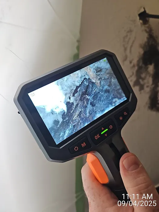 4D Restoration Picture 10