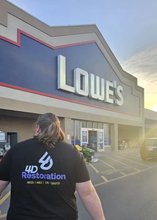 4D Restoration Picture 7