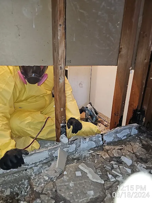 4D Restoration Picture 9