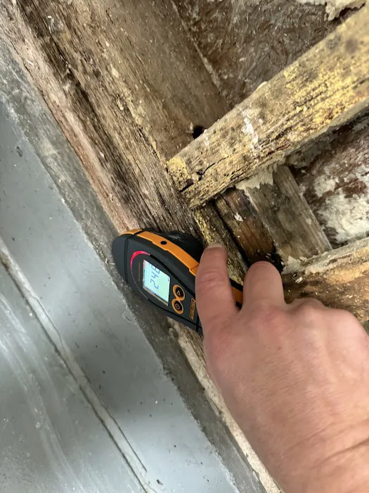 Best Mold Testing & Restoration Services OKC Picture 3