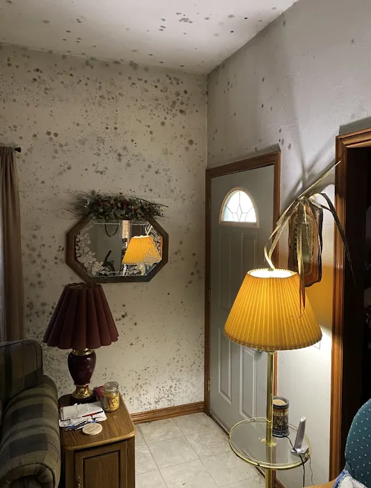 Best Mold Testing & Restoration Services OKC Picture 8