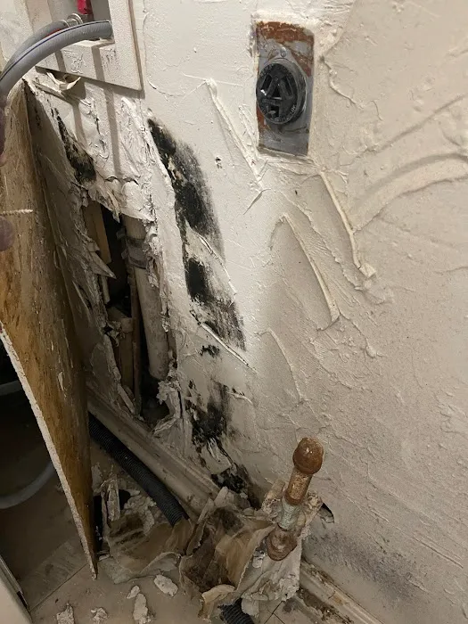 Best Mold Testing & Restoration Services OKC Picture 1