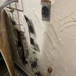 Best Mold Testing & Restoration Services OKC