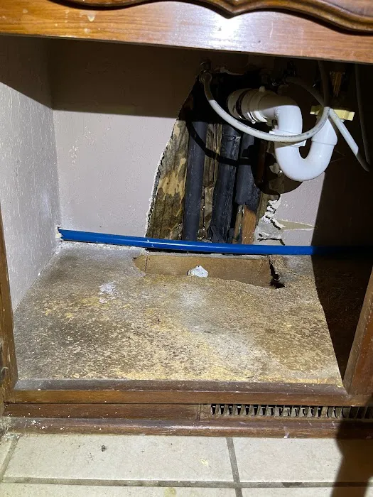 Best Mold Testing & Restoration Services OKC Picture 10