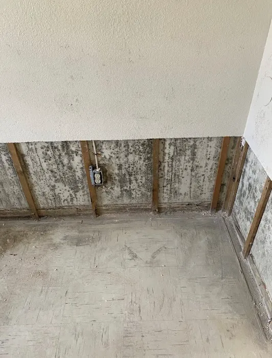 Best Mold Testing & Restoration Services OKC Picture 7