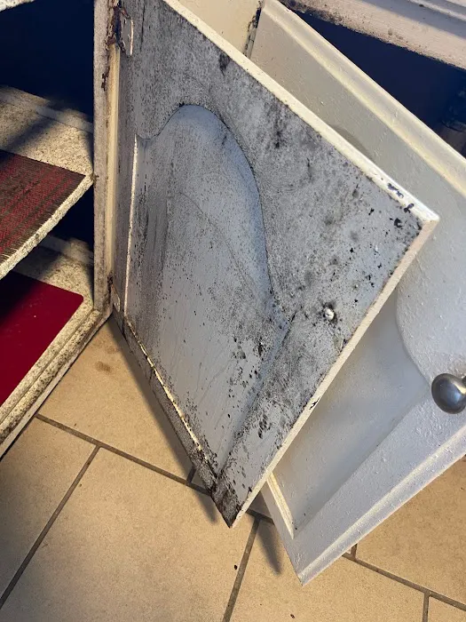 Best Mold Testing & Restoration Services OKC Picture 6