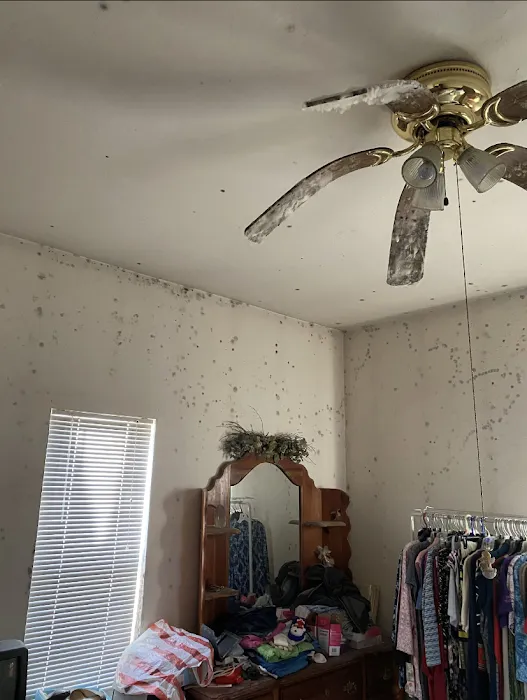 Best Mold Testing & Restoration Services OKC Picture 9