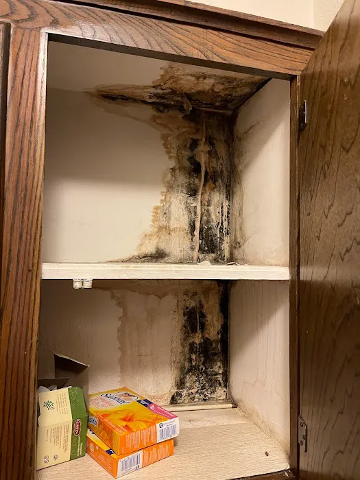 Best Mold Testing & Restoration Services OKC Picture 4