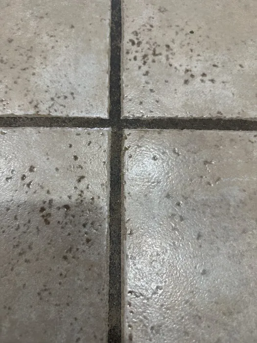 Stanley Steemer Picture 6