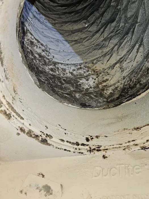 Stanley Steemer Picture 2