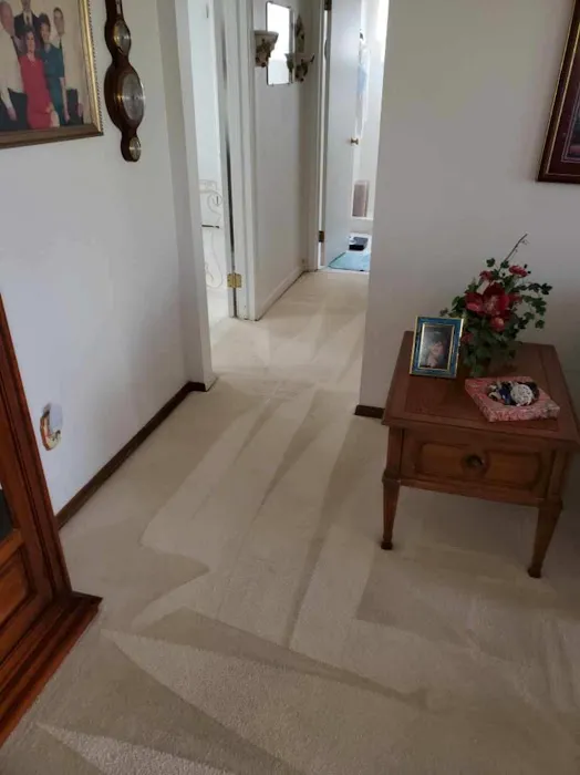 ServiceMaster By Eagle Eye Cleaning and Restoration Picture 7