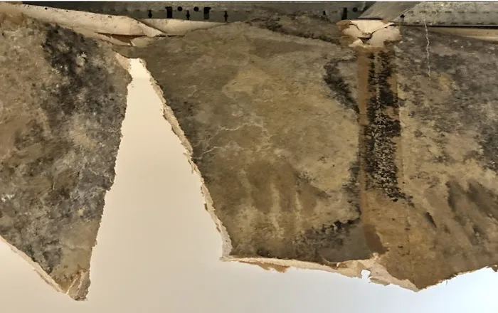 BISON Restoration Services Picture 9