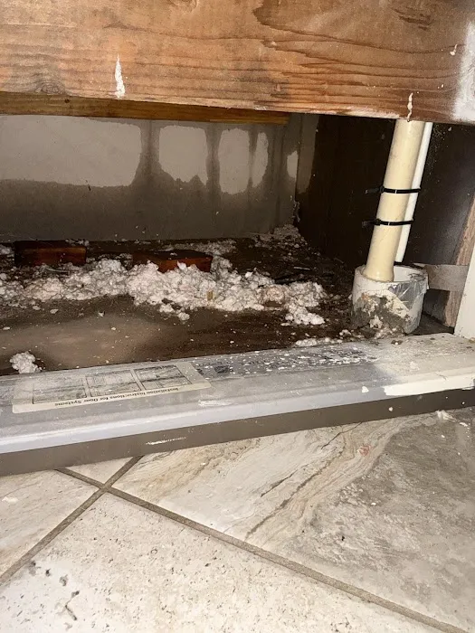 BISON Restoration Services Picture 10