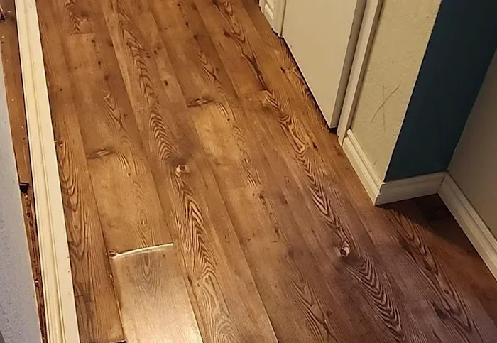 BISON Restoration Services Picture 5