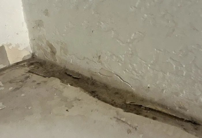 BISON Restoration Services Picture 1