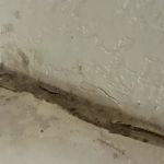 BISON Restoration Services