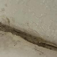 BISON Restoration Services ico