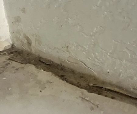 BISON Restoration Services