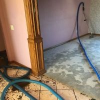 Service Professionals Inc. ico