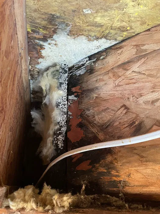 Precision, Inc. Picture 10