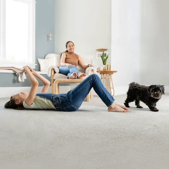 Chem-Dry of Oklahoma Picture 4