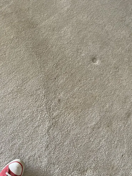 Chem-Dry of Oklahoma Picture 8