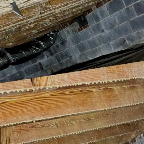 Steriltec Mold Testing Picture 3