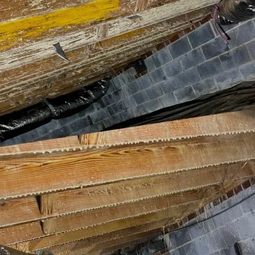 Steriltec Mold Testing Picture 1