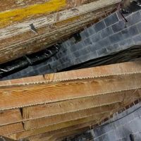 Steriltec Mold Testing ico