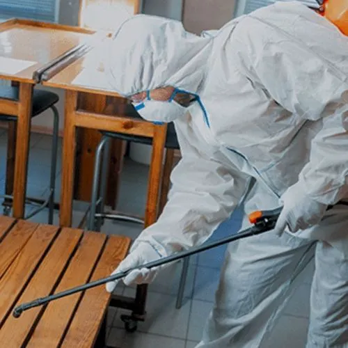 Steriltec Mold Testing Picture 2