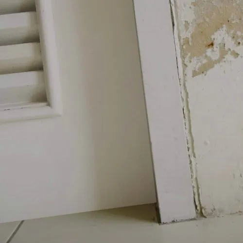 Steriltec Mold Testing Picture 4