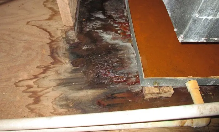 Moore Water Damage Restoration Picture 3