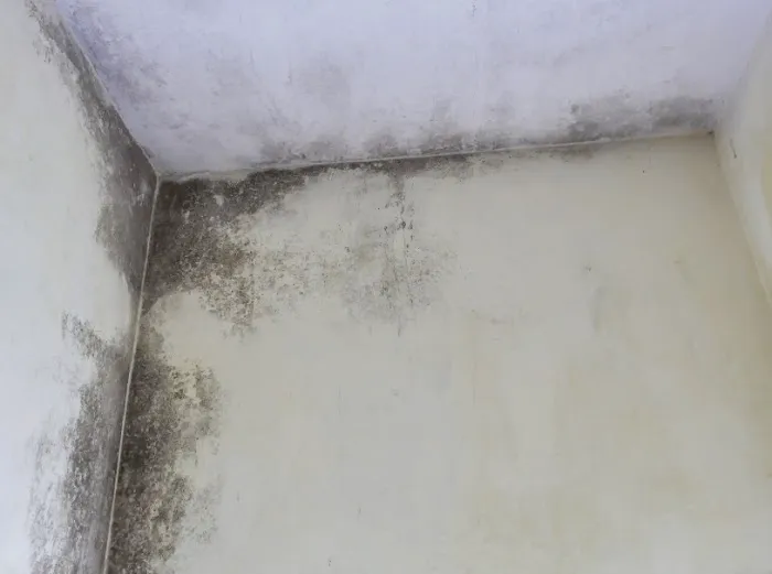 Moore Water Damage Restoration Picture 6