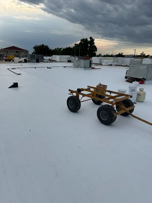 Texola Inc Picture 6