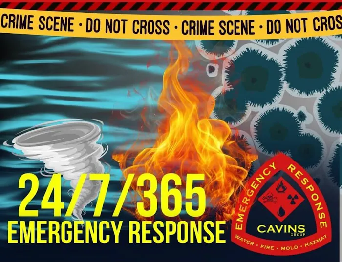 Cavins Group Picture 2