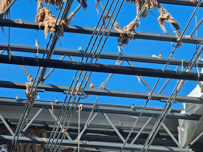 SERVPRO of Norman Picture 9