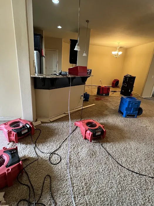 Advanced Vacuum Picture 10